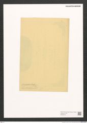 Pleurosigma sp. (de-Toni-Nr.: Genus 13) Zeichnungen Sammlung Grunow (NHMW-BOT-W0369191)